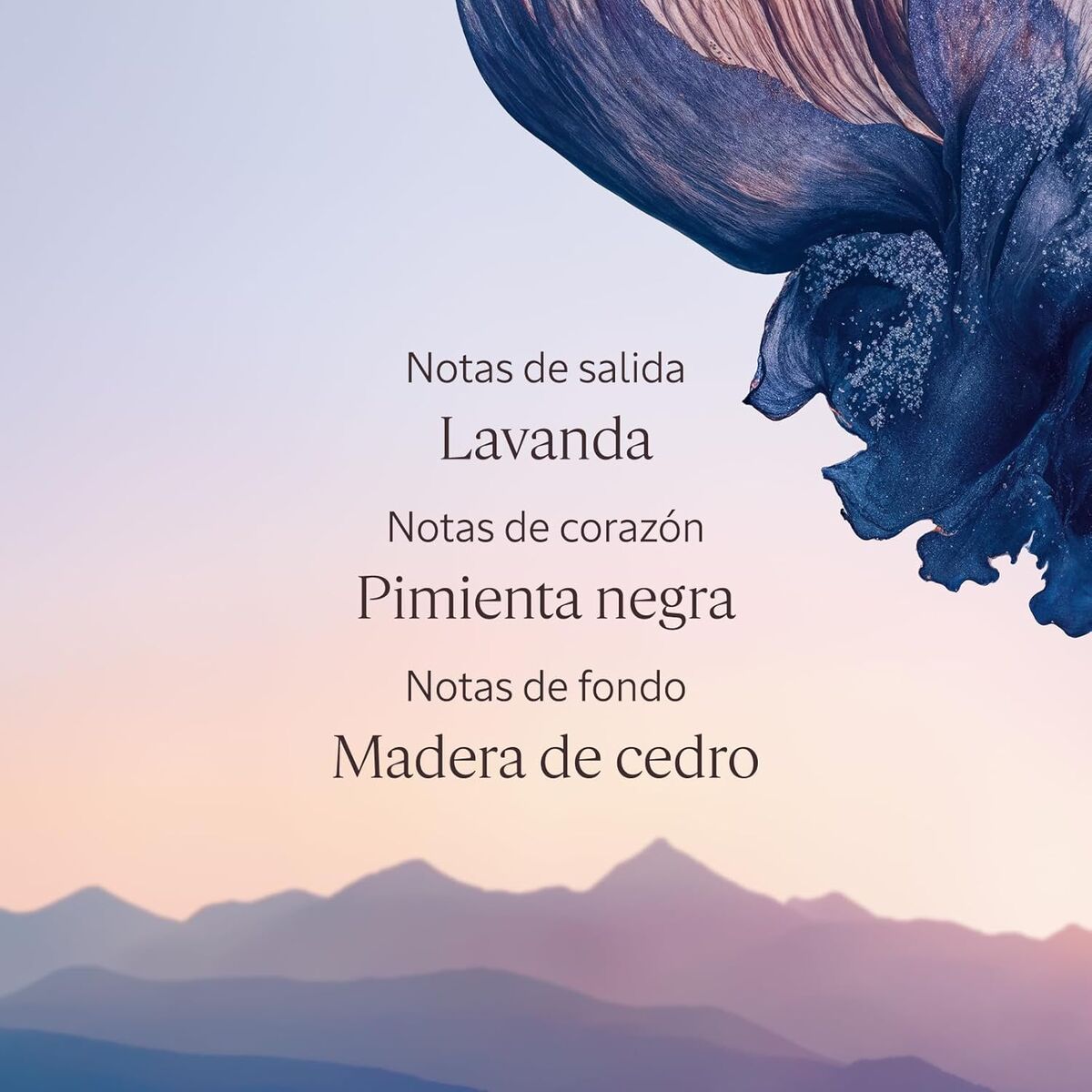 Desodorante en Spray L'Occitane En Provence LAVANDE POIVRE NOIR