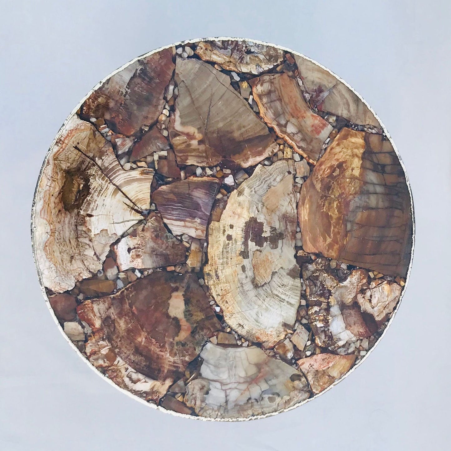 Petrified Wood Agate Round Edge Side/Coffee Table
